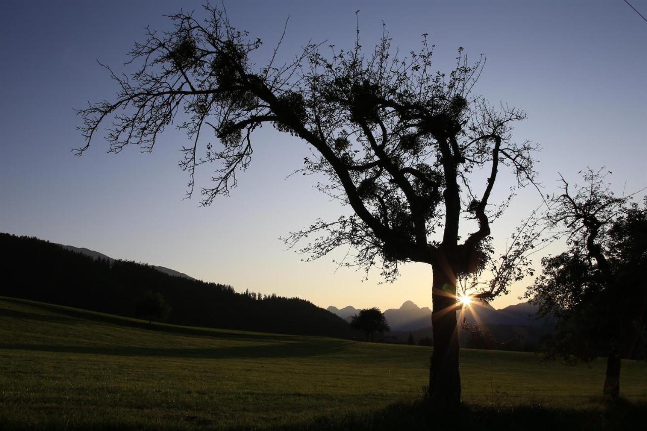 Ferienwohnung Pyhrgasblick Rosenau am Hengstpass Bagian luar foto