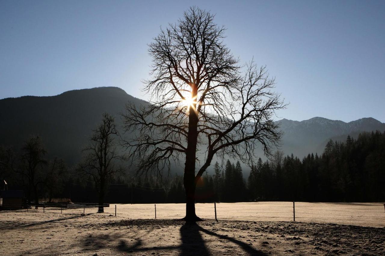 Ferienwohnung Pyhrgasblick Rosenau am Hengstpass Bagian luar foto
