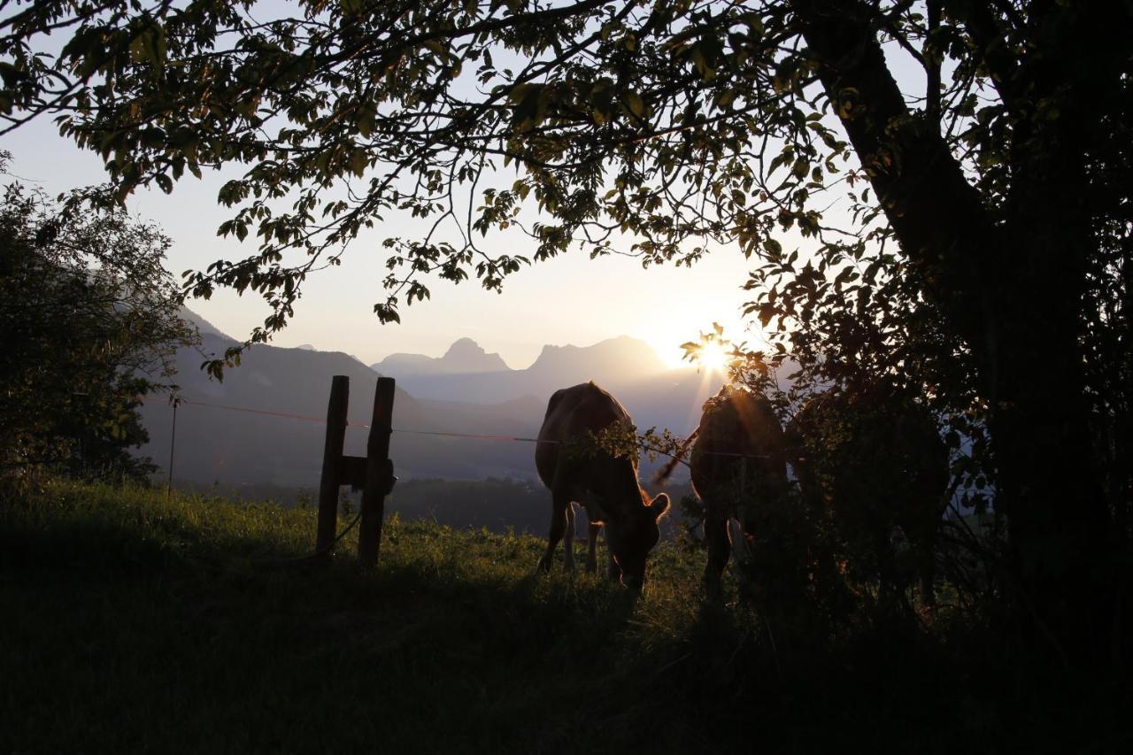 Ferienwohnung Pyhrgasblick Rosenau am Hengstpass Bagian luar foto